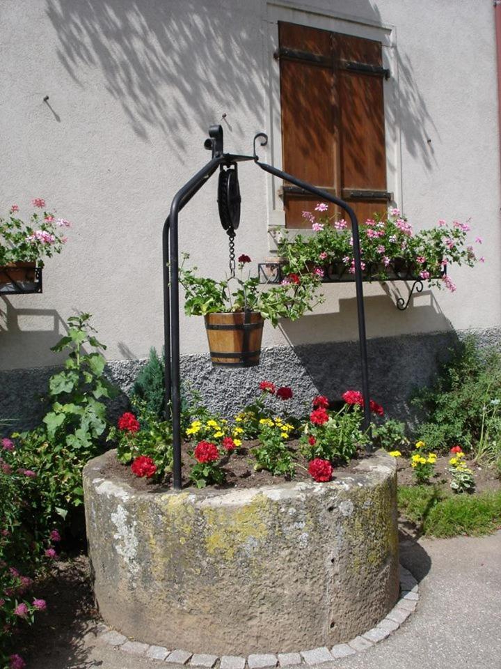 Gite "Le Piemont Des Vosges " سْتوجْزا المظهر الخارجي الصورة