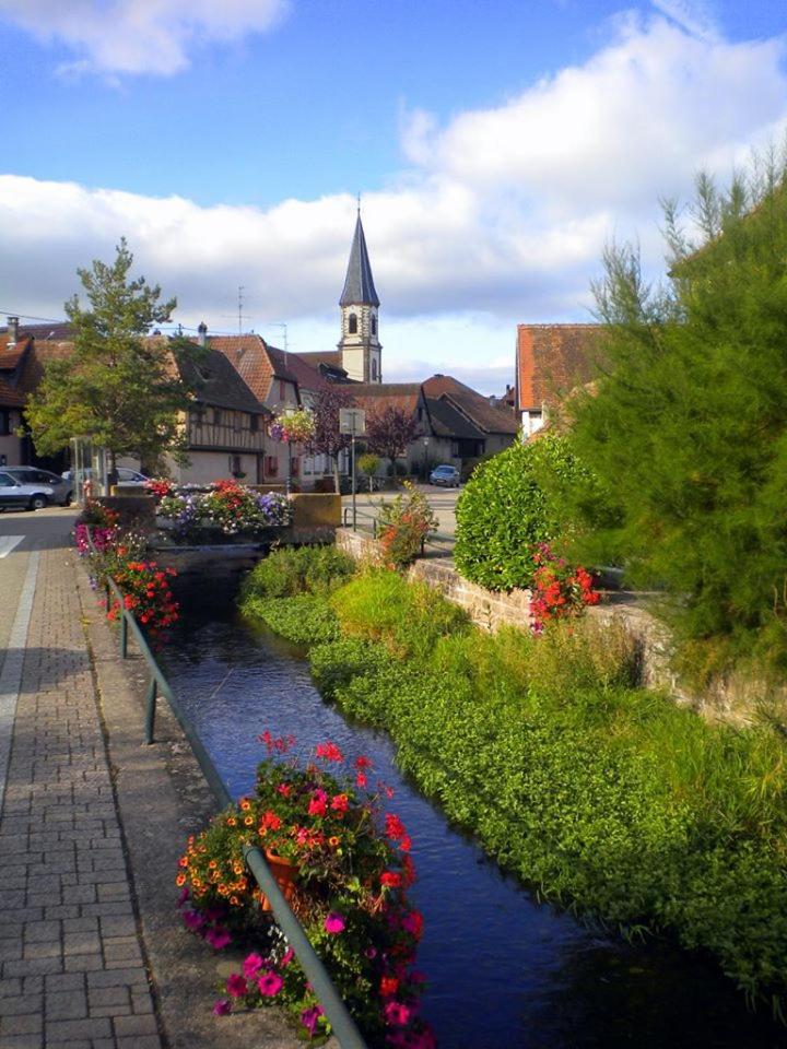 Gite "Le Piemont Des Vosges " سْتوجْزا المظهر الخارجي الصورة