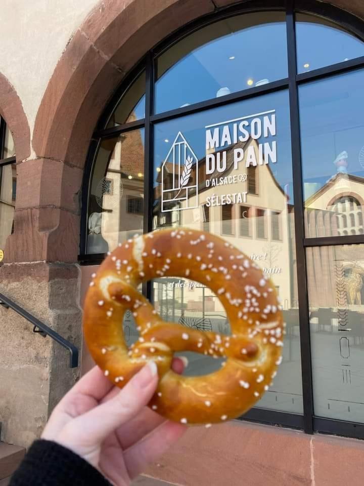 Gite "Le Piemont Des Vosges " سْتوجْزا المظهر الخارجي الصورة