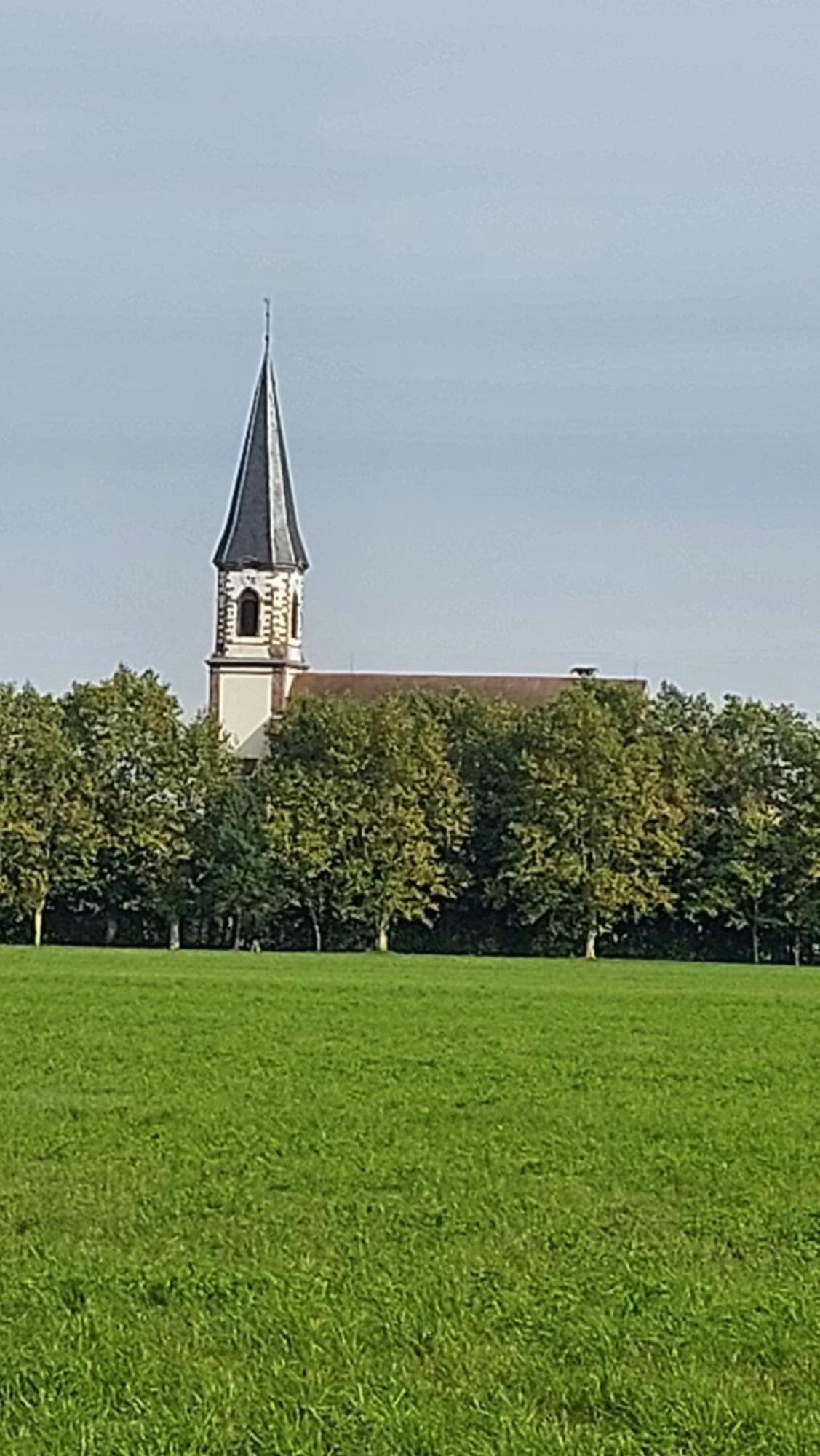 Gite "Le Piemont Des Vosges " سْتوجْزا المظهر الخارجي الصورة