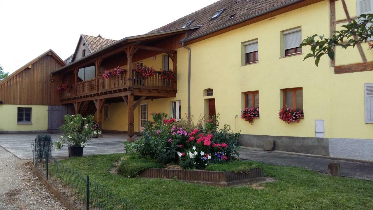 Gite "Le Piemont Des Vosges " سْتوجْزا المظهر الخارجي الصورة