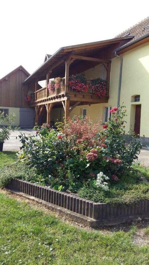 Gite "Le Piemont Des Vosges " سْتوجْزا المظهر الخارجي الصورة