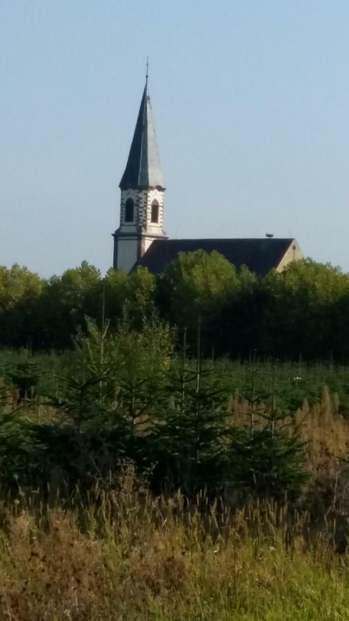 Gite "Le Piemont Des Vosges " سْتوجْزا المظهر الخارجي الصورة