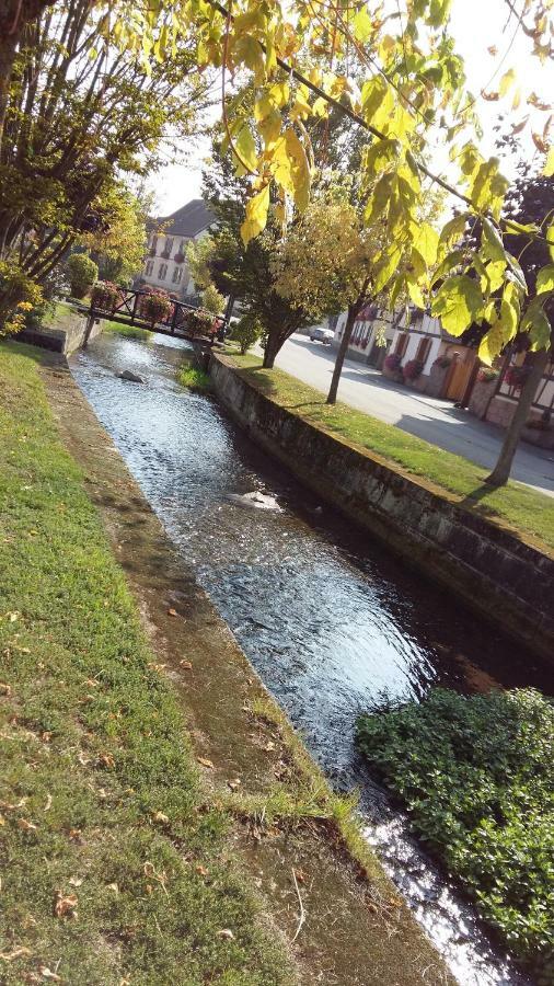 Gite "Le Piemont Des Vosges " سْتوجْزا المظهر الخارجي الصورة