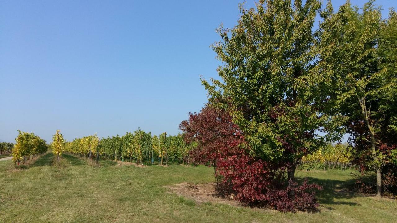 Gite "Le Piemont Des Vosges " سْتوجْزا المظهر الخارجي الصورة